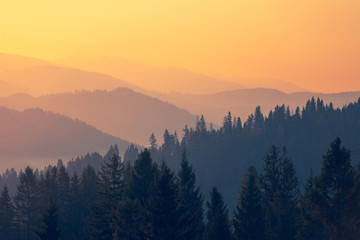 联合证券行情下载,联合证券行情下载app