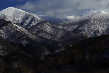 联合证券行情下载，联合证券行情下载app
